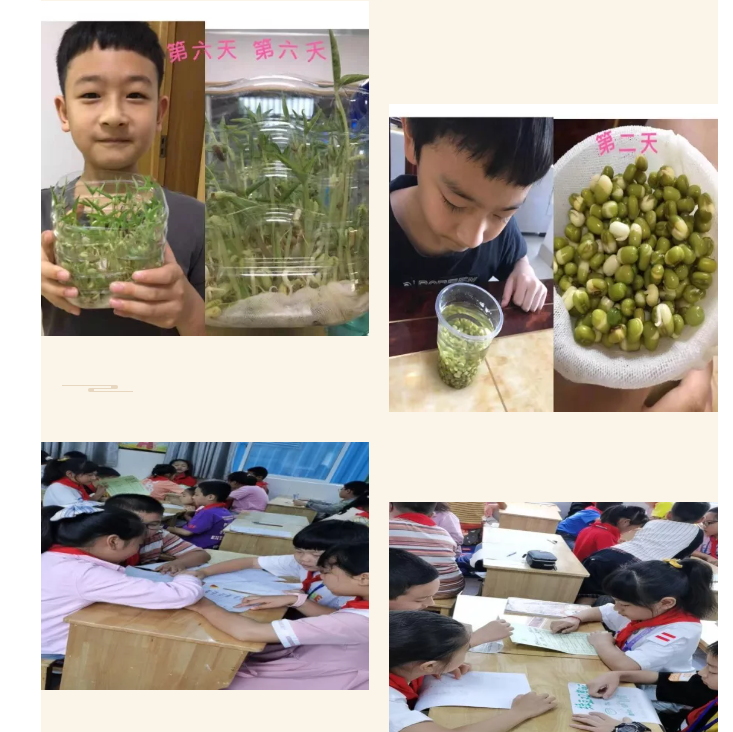 QQ截图20211026142646.png