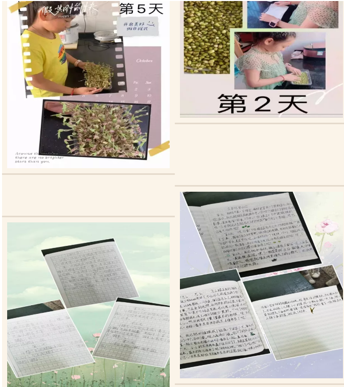 QQ截图20211026142730.png